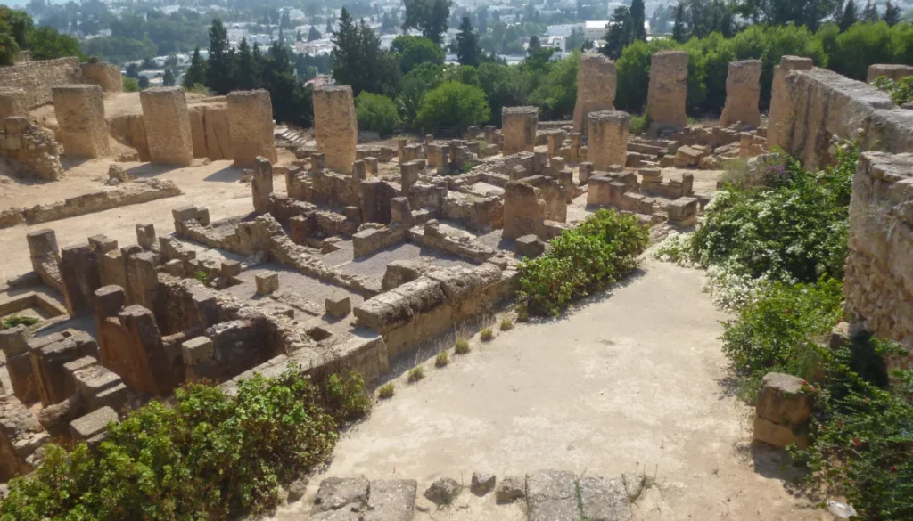 Carthage | Tunisia's Treasures