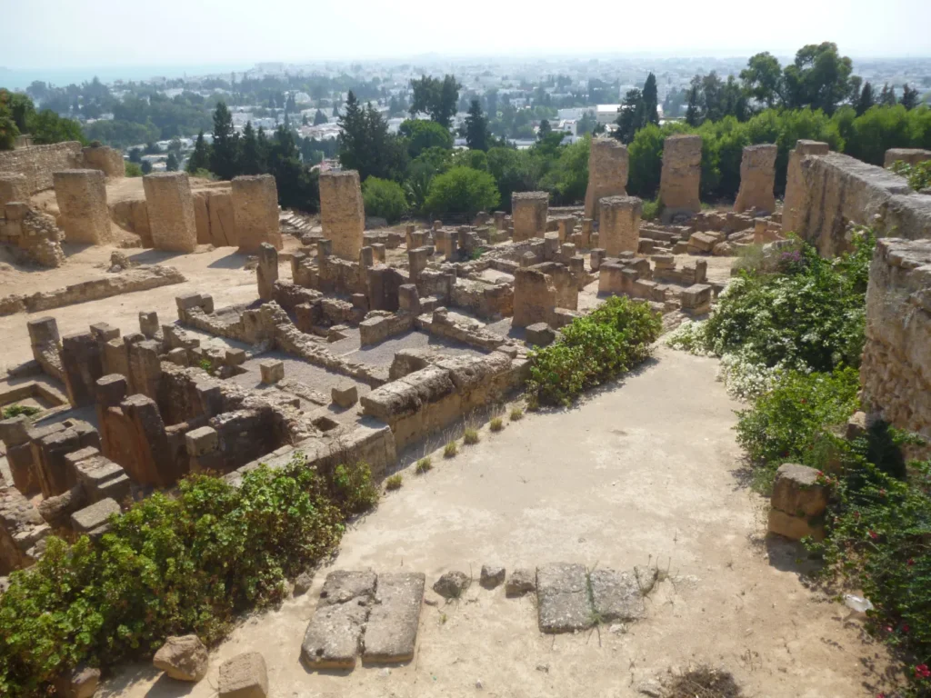 Carthage | Tunisia's Treasures