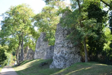 The Rhine Frontier Roman Mainz | The Rhine Frontier